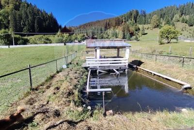 Casa in Vatra Dornei, zona Argestru, cu 11.541m.p. TEREN INTRAVILAN - 21