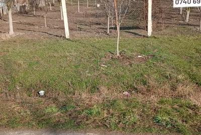 Teren de 500 mp, în Iratoșu - 3