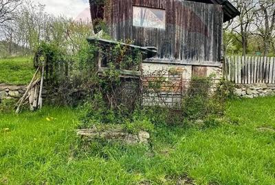 O casa cu suflet, ascunsa in inima verde a Mu?celului, la Campulung! - 2