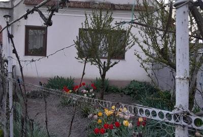 Casă cu 6 camere cu Teren 9000 Mp în Orăștioara de Jos - 2