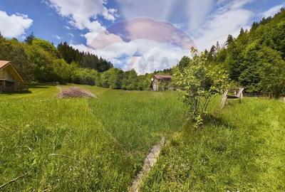 Casă cu 3 camere cu Teren 1614 Mp în Sita Buzăului - 1