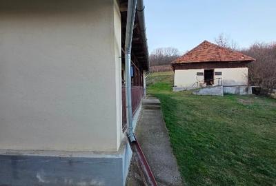 Casă individuală cu 4 camere cu Canalizare în Deleni - 8