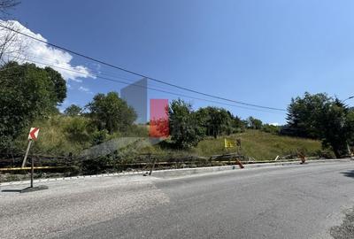 Teren intravilan 3214 mp  în Rucăr cu deschidere 56 m în DN73 - 11