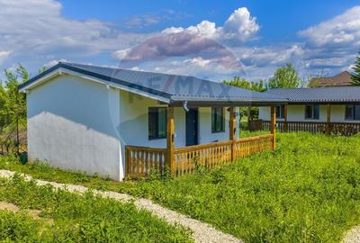 Casă individuală cu 11 camere cu Teren 1007 Mp în Stupini - 19