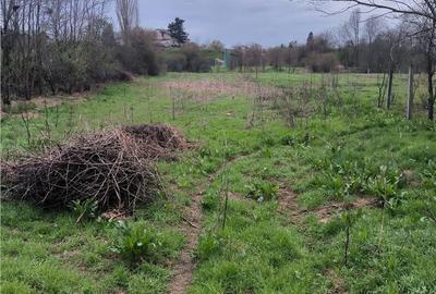 Spațiu comercial, în Buturugeni - 2