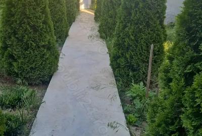 Casă cu 5 camere în Scorțaru Vechi - 2