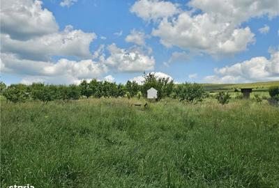 Spațiu comercial, în Vâlcele - 3