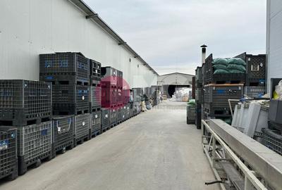 Fabrica de reciclare mase plastice - 19