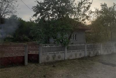 Casă cu 2 camere în Zătreni - 4