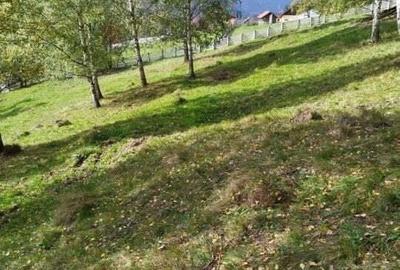 Casa renovabila + teren in Argestru, Suceava - 4