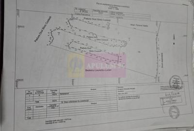 Teren în Central - 3