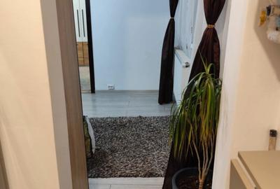 Apartament cu 2 camere în Beba Veche - 4