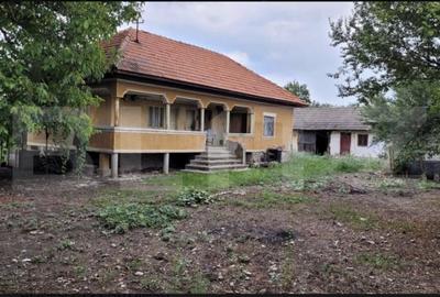 Casă cu 3 camere cu Teren 6869 Mp în Central - 1