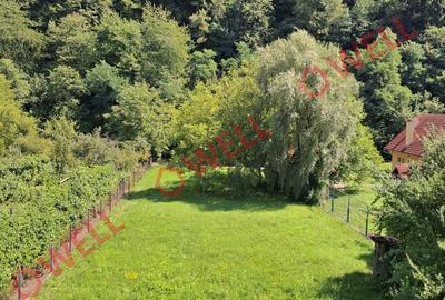 Spațiu comercial, de 1,302 mp, în Sovata - 3