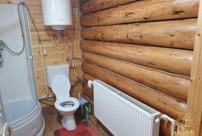 Cabana de lemn cu teren 760 mp de vanzare in Coada Lacului - Bihor - 16
