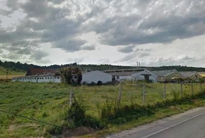 Spațiu comercial, de 3,000 mp, în Măieruș - 3