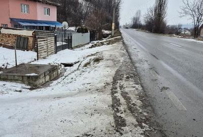 Casă cu 3 camere cu Teren 17000 Mp în Coman - 4