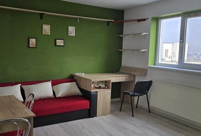 Apartament cu 3 camere decomandat, mobilat în Mănăștur - 1