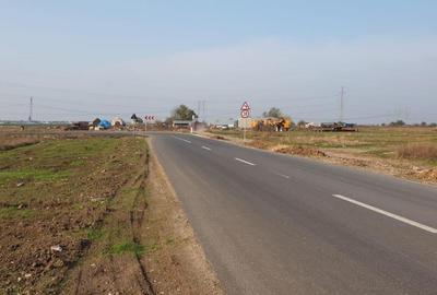 Teren de 10000 mp, în Domnești