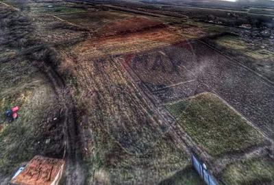 Teren de 1,200 mp cu potential in Covasant, strada Liliacului - 5