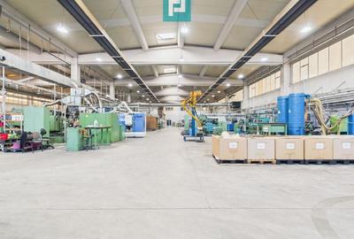 Hală industrială modernă, Șagului - 4