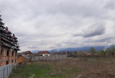 Teren intravilan 1300 mp de pe Valea Avrigului, drum asfalt - 3