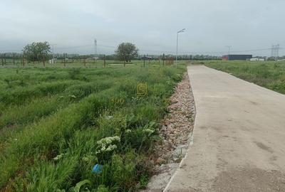 Teren de vanzare, Frumusani, Ilfov, ideal investitie, DNCB Teren de vanzare, Frumusani, Ilfov, ideal investitie, DNCB - 11