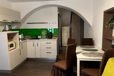 Apartament doua camere, Piata Sfatului, Brasov Apartament doua camere, Piata Sfatului, Brasov - 10