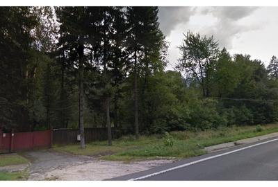 Teren Construcții intravilan de 44000 mp, în Timișu de Jos - 2