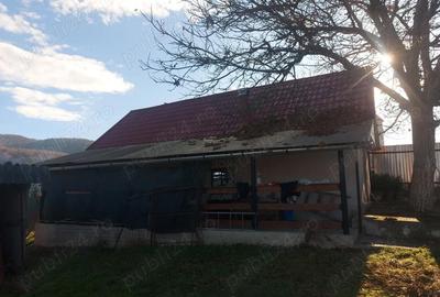 Casă cu 3 camere cu Teren 1400 Mp în Fâșca - 2