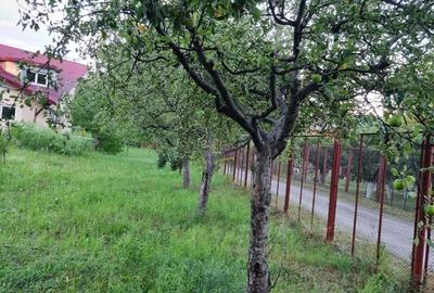 Casă cu 4 camere în Central - 2