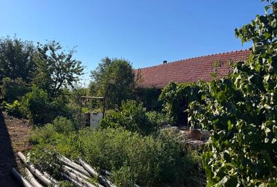 Vând casa in vatra veche sat  Bacova jud.Timiș - 5
