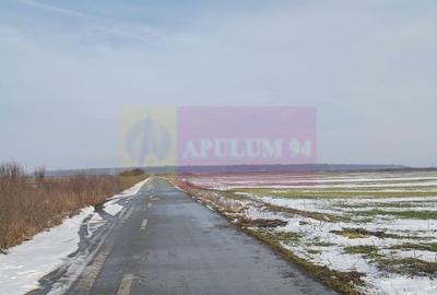 Teren agricol intravilan de 7600 mp, în Cosoba - 2