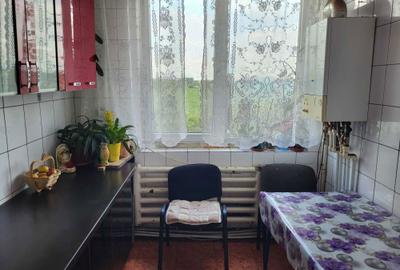 Apartament cu 2 camere semidecomandat în Crevedia - 7