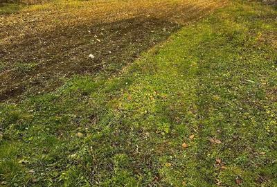 Casă în Mădrigești