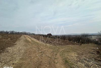 Spațiu comercial, în Central - 1