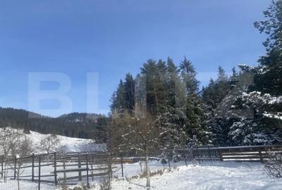 Casă cu 3 camere cu Teren 3450 Mp în Central - 11