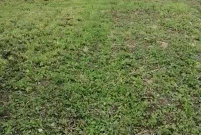 Casă în Căscioarele - 1