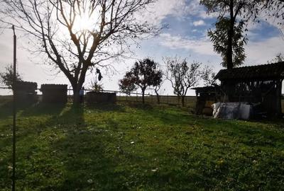 Teren intravilan 1800mp | Casa 2 camere - 6