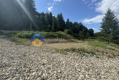 Teren cu o locatie de vis in Pangarati 53 m deschidere la strada - 8