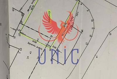 Spațiu comercial, în Brazda lui Novac