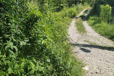 Teren intravilan 1035 mp cu parau, Breaza, Prahova - 6