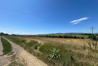 De vânzare teren extravilan – Calea Feldioarei, 10.000 mp - 5