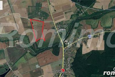 Teren în Ciolpani - 3