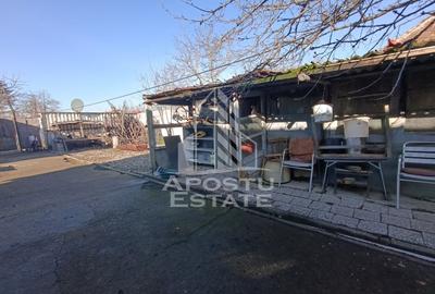 Casa individuala cu teren generos 2158mp, front 12m, livada, Freidorf - 4