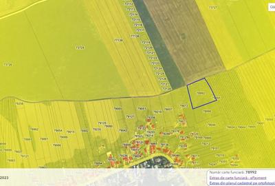 Teren de 12305 mp, în Niculești - 6