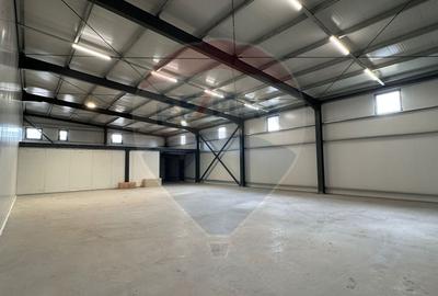 Spațiu industrial, de 500 mp, în Cernica - 2