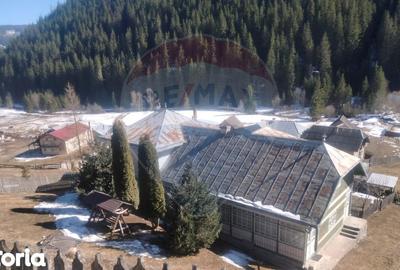 Casă cu 7 camere cu Teren 6965 Mp în Panaci - 19