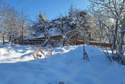 Teren de 2880 mp, în Mustești - 1