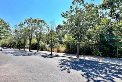 EFORIE NORD - TEREN INTRAVILAN - 8959 MP - Comision 0% - 2